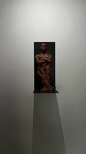 observador 9