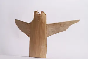 winged 7