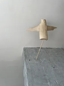 winged 5