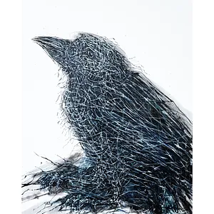 Bird 2