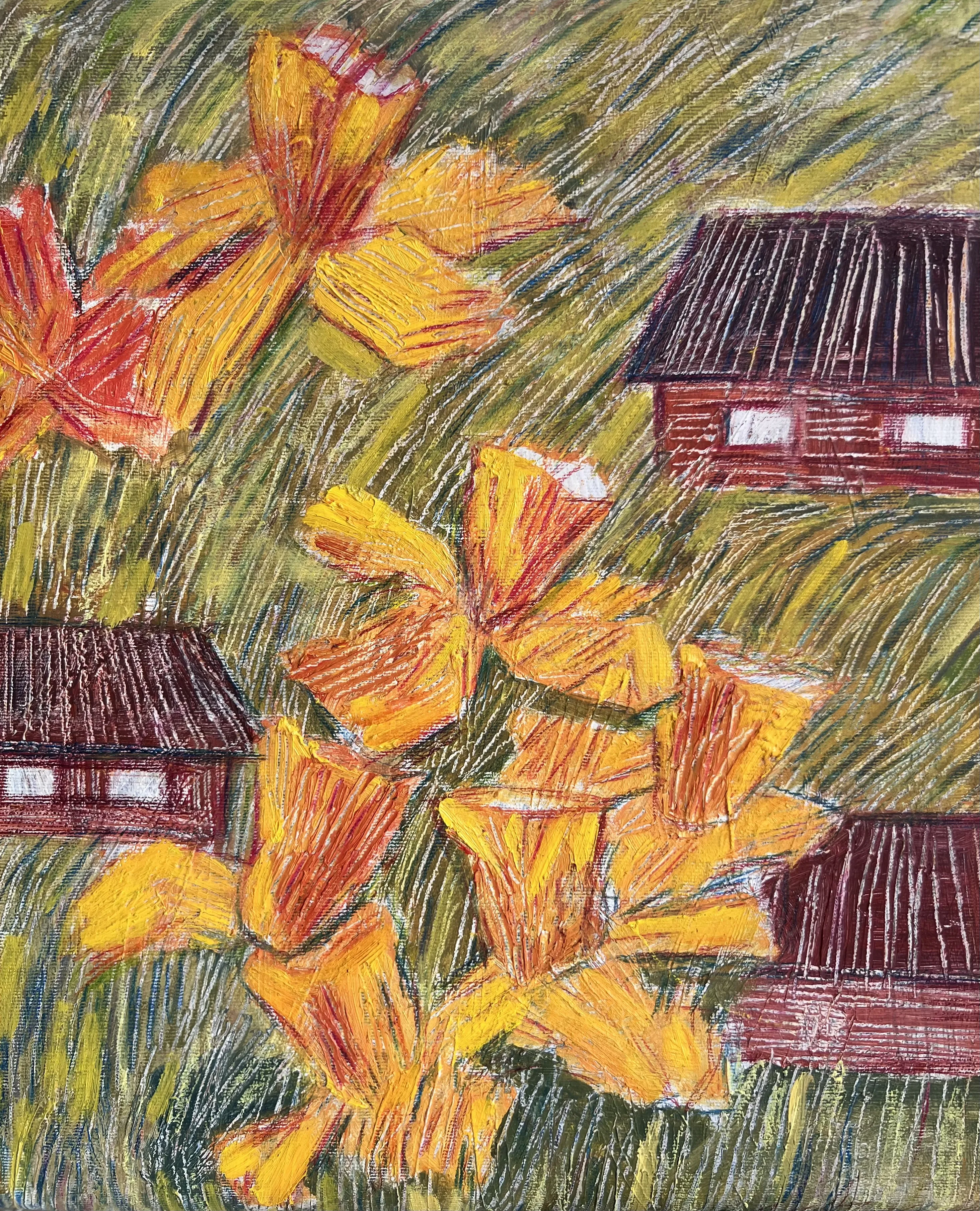 Нарциси 