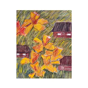 Narcisos 1