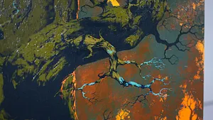 Forest Light   3