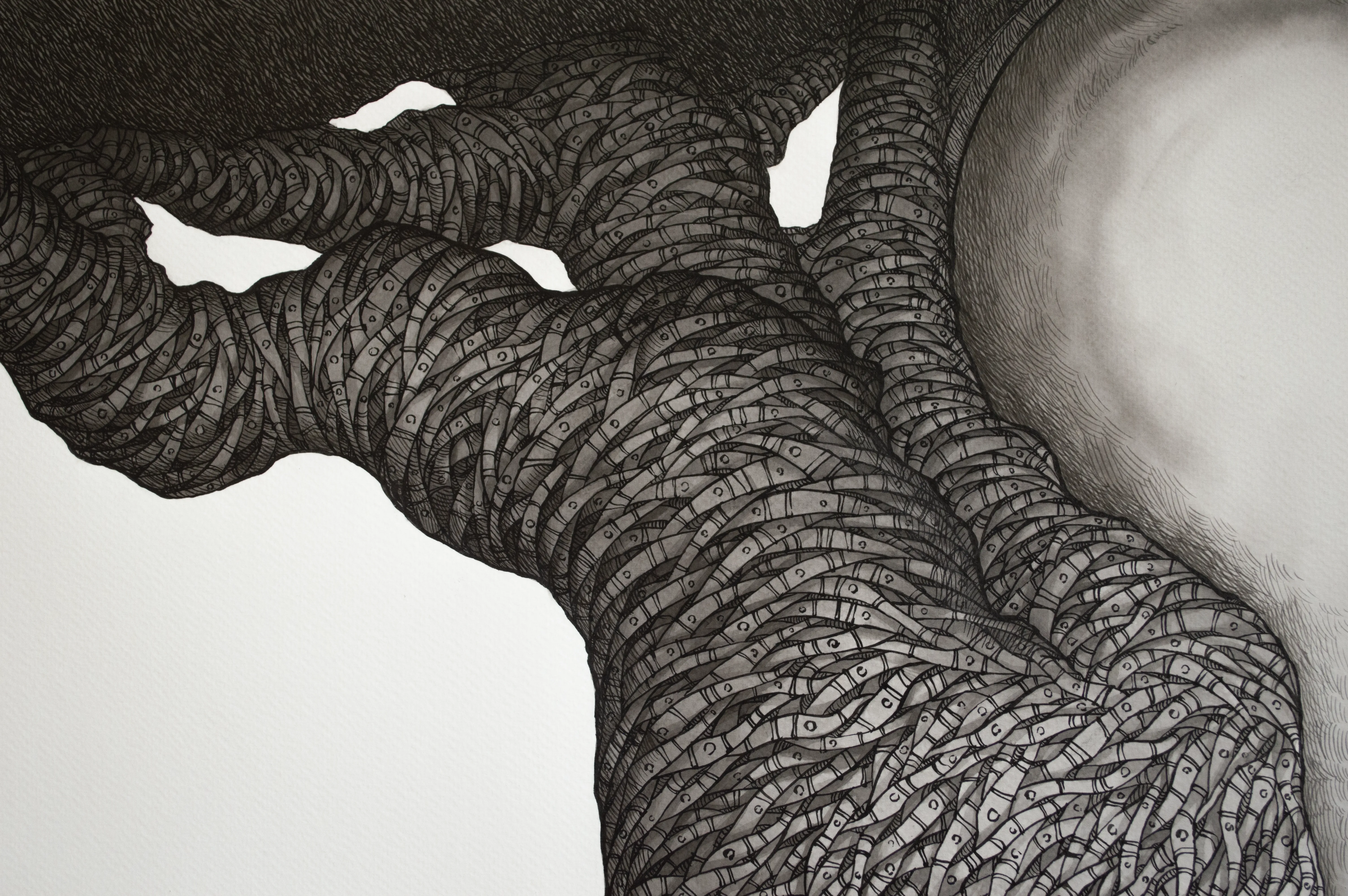 Albero della Vita II | Tree of Life II