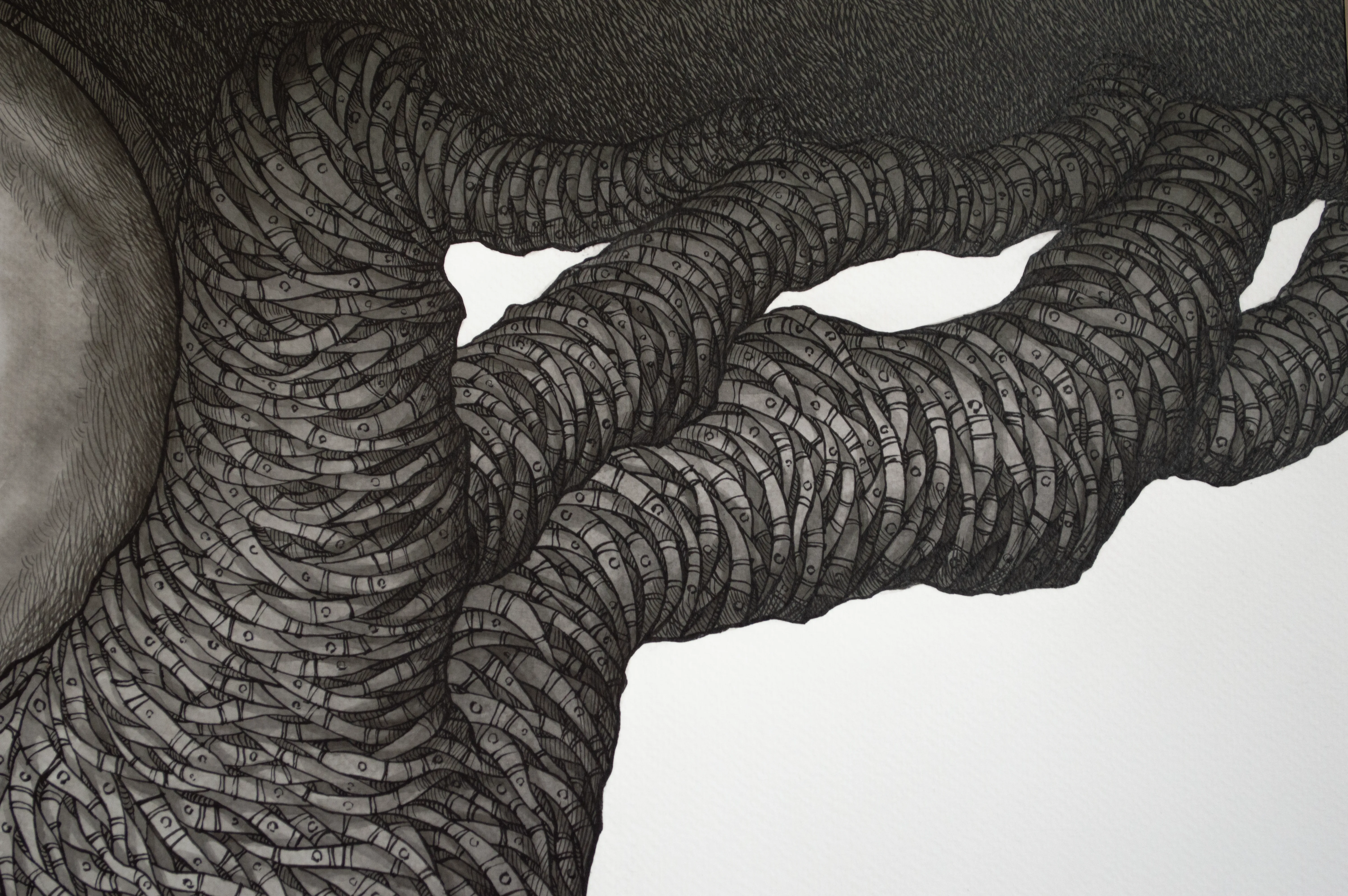 Tree of Life II | Tree of Life II