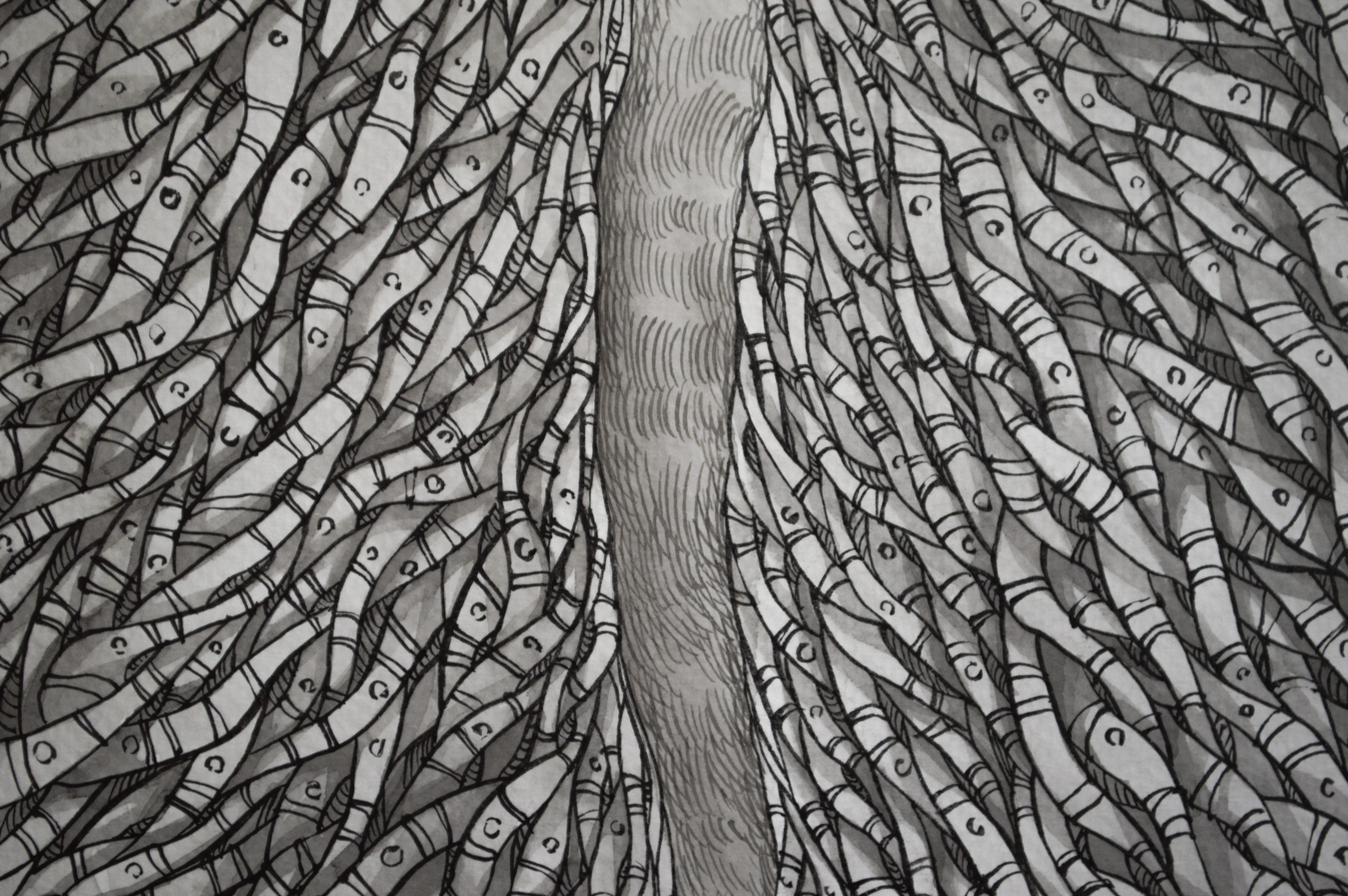 Árbol de la Vida II | Tree of Life II