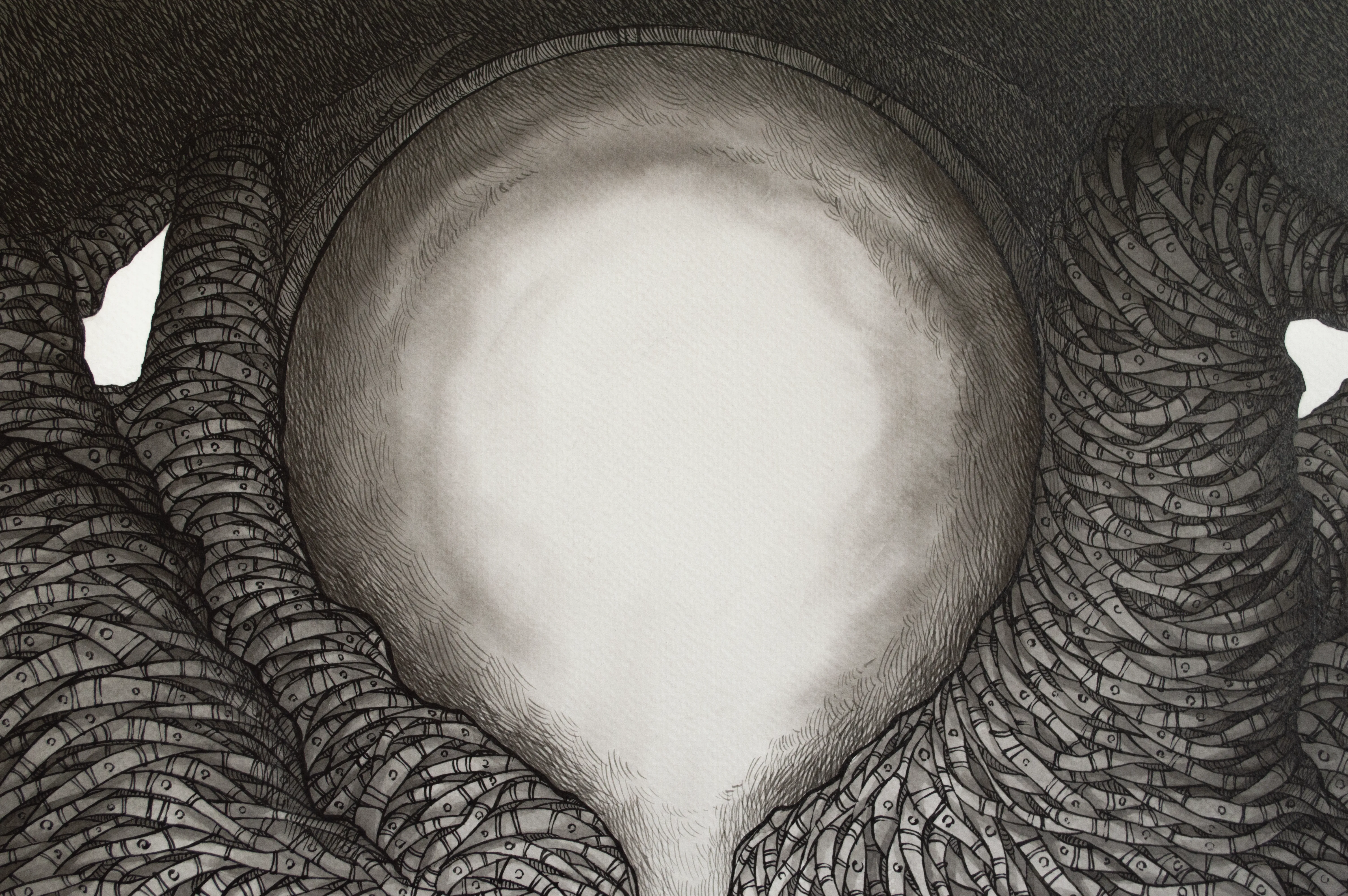Tree of Life II | Tree of Life II