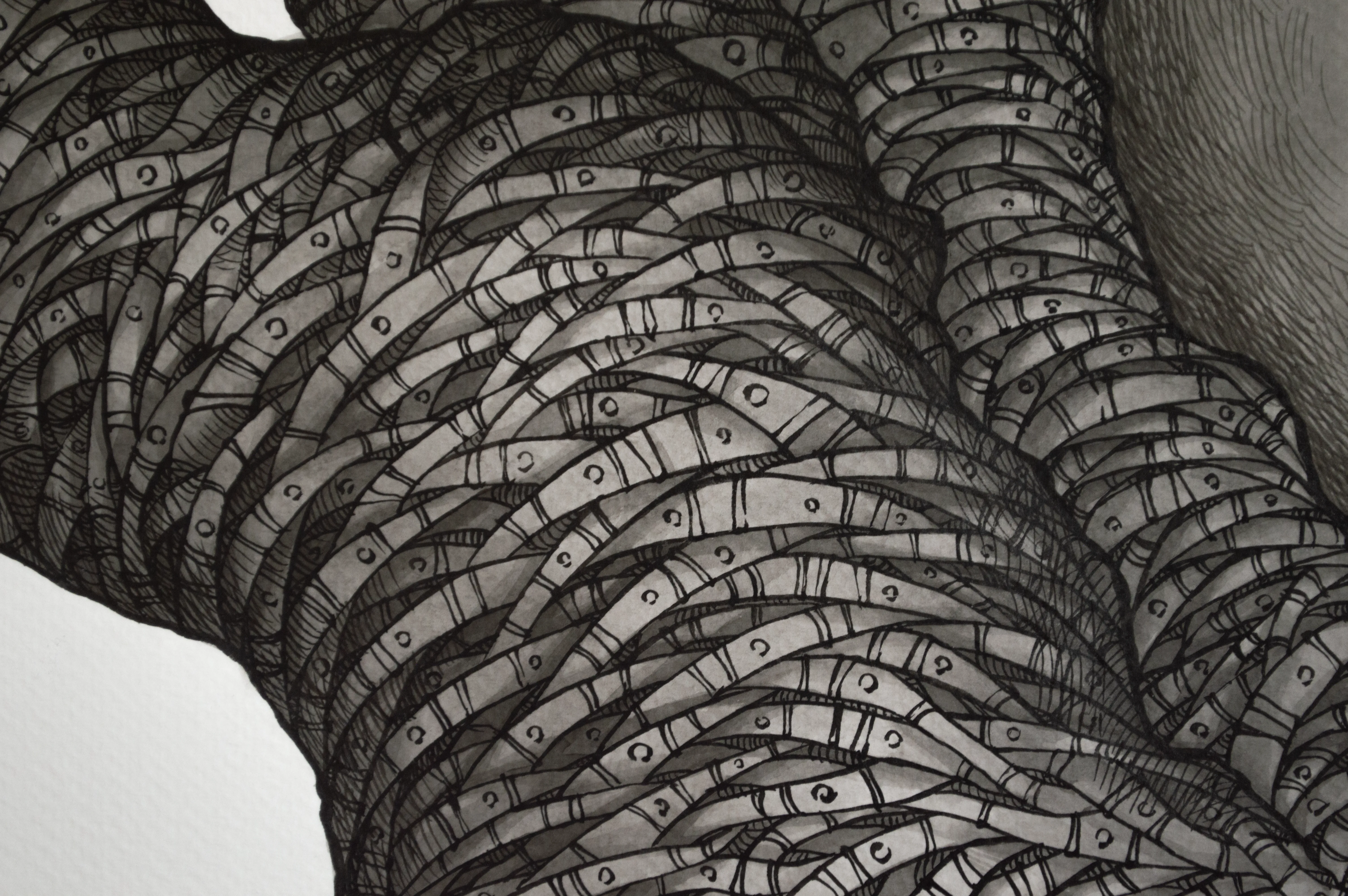 Tree of Life II | Tree of Life II