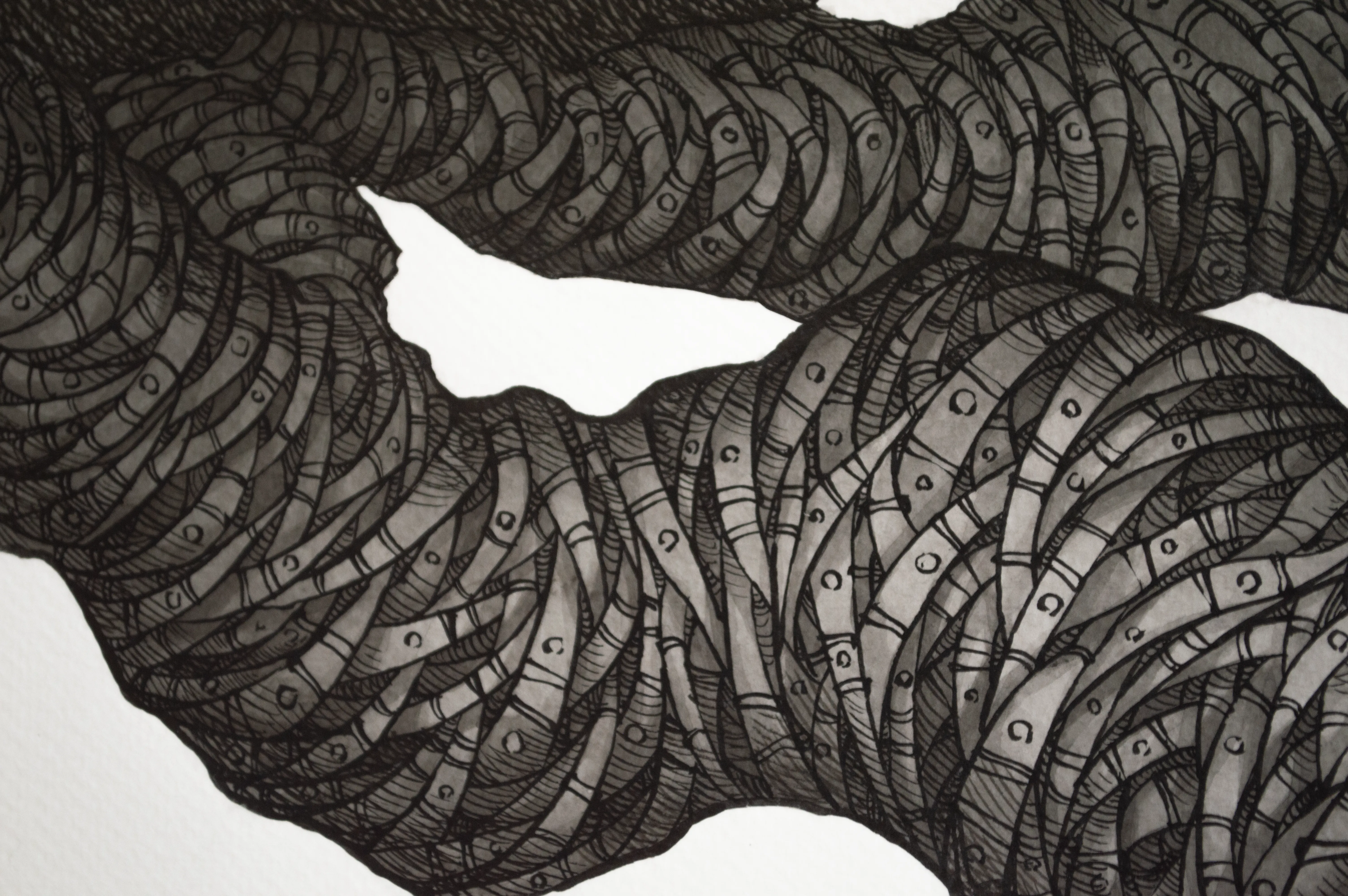 Tree of Life II | Tree of Life II